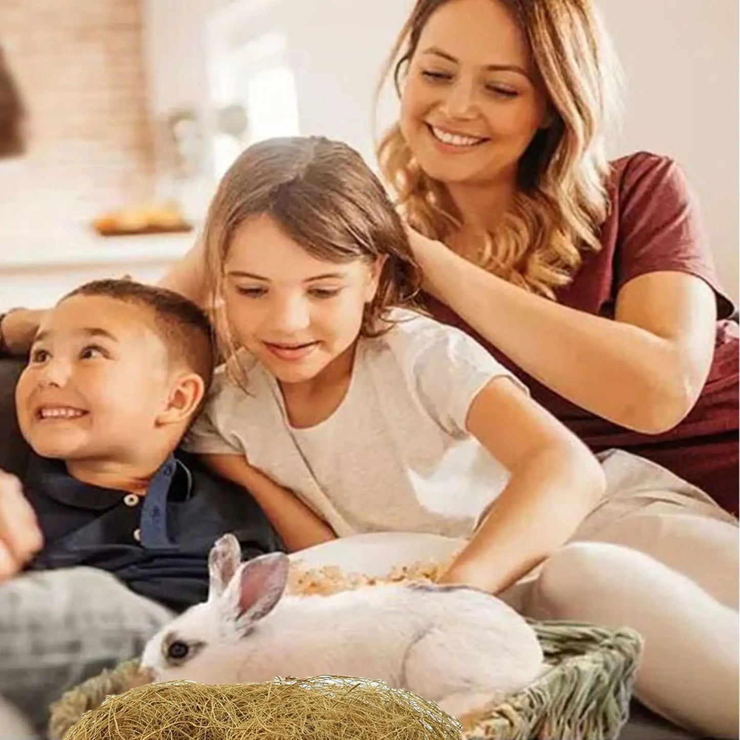 Natural Coconut Coir Fiber 100g | Pet Bedding & Plant Mulch