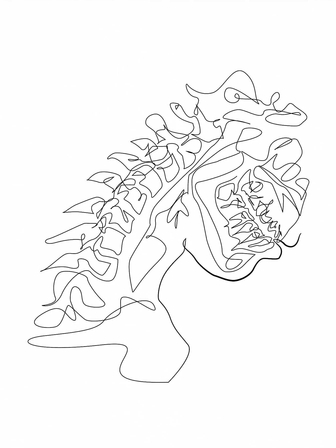 Human Anatomy Skeleton Canvas Wall Art | Medical Line Art Poster