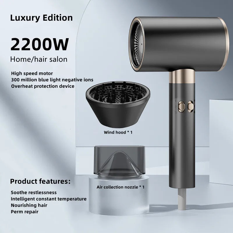 2026 New High Speed Hair Dryer 2200W High Power Fast Drying Blue Light Negative Ion Temperature Control Silent Home Hair Dryer Peaceful Pleasures Health and Wellness