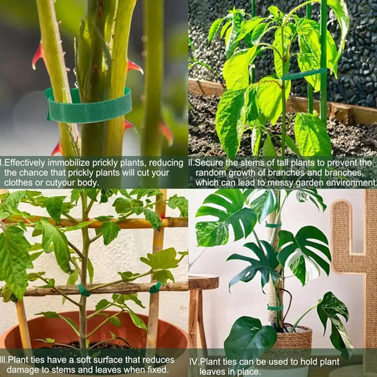 20 Packs Green Nylon Plant Ties - Garden Support Straps for Tomato, Grape Vine, Cucumber in Trellis, Greenhouse & Indoor Outdoor Peaceful Pleasures Health and Wellness