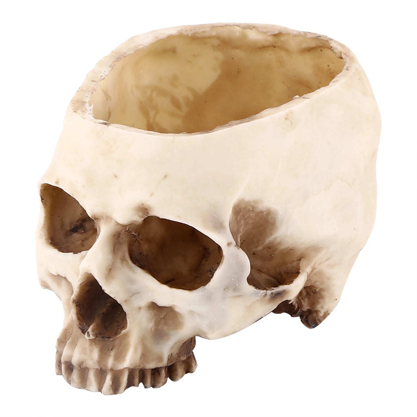 Resin Skull Flower Pot | Gothic Planter & Halloween Decor