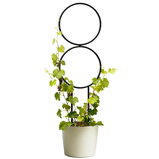 Metal Plant Trellis – Adjustable Support Stake Indoor & Outdoor Plant Trellis Oasis Select