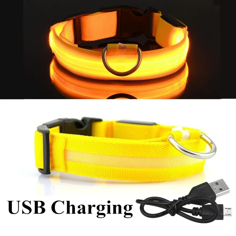 Colorful USB Rechargeable Pet Dog LED Glowing Collar Luminous Flashing Necklace Outdoor Walking Night Safety Supplies DC05 Peaceful Pleasures Health and Wellness Yellow USB S(35-43cm)