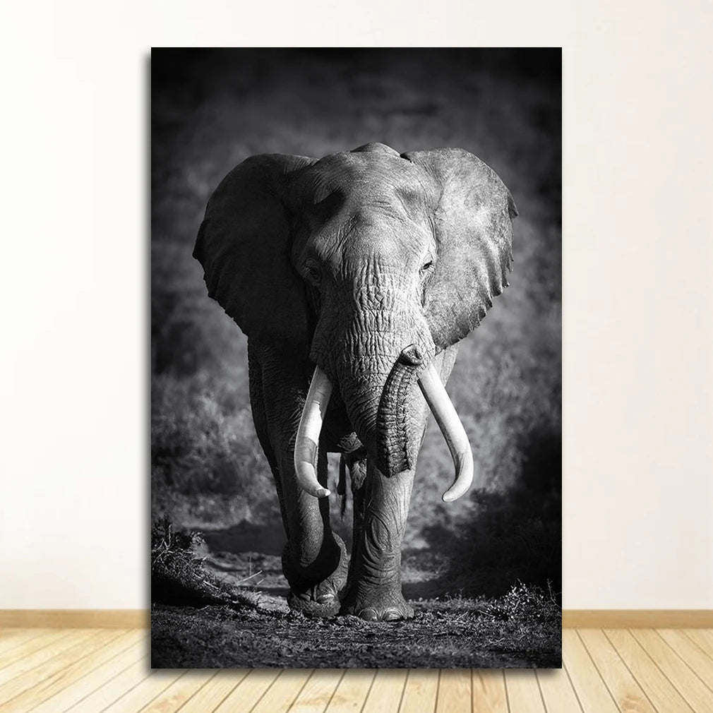 Black & White Animal Canvas Wall Art | Zebra Lion Leopard