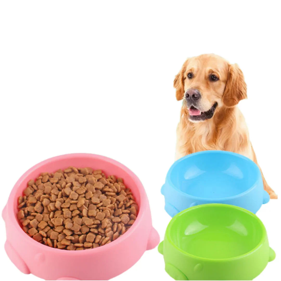 Candy Color Non-Slip Slow Feed Dog & Cat Bowls | Easy Clean