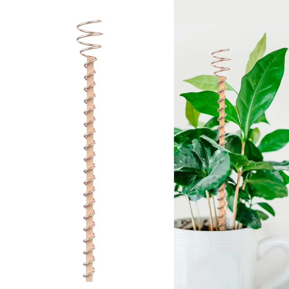 Copper Electroculture Plant Stakes – 30cm Bamboo & Copper Coil