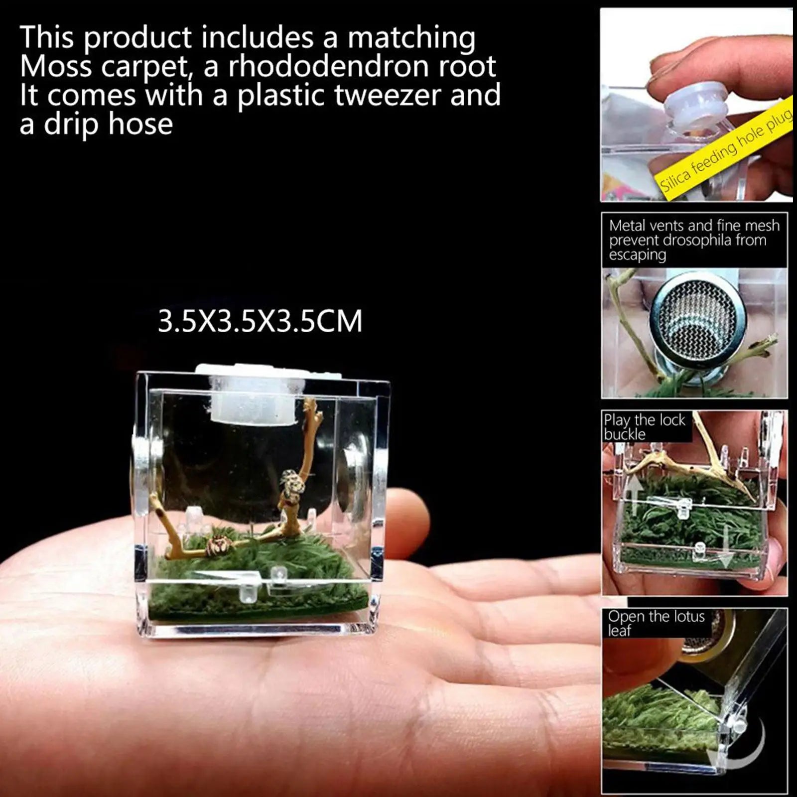 Small Reptile Feeding Box for Breeding and Feeding Insects Peaceful Pleasures Health and Wellness