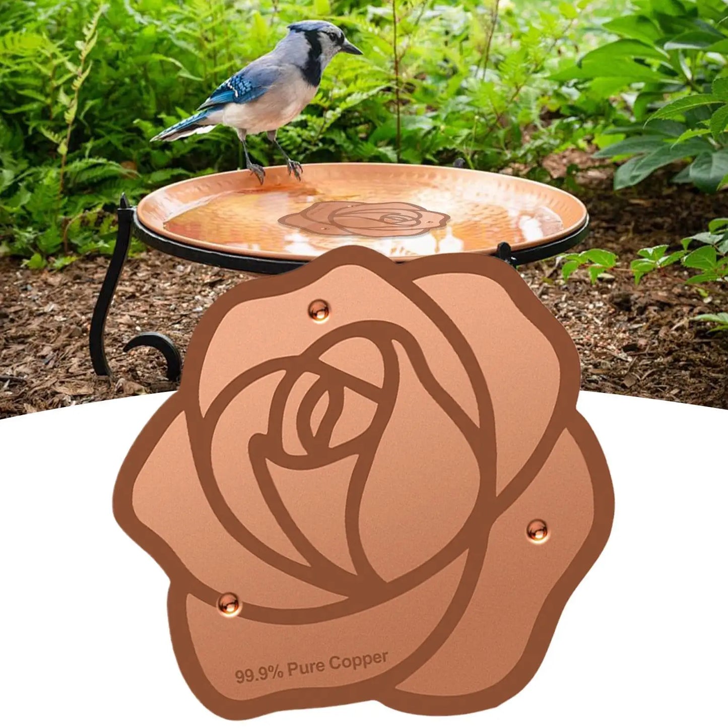 Copper Bird Bath Purification Disk | Garden Water Cleaner