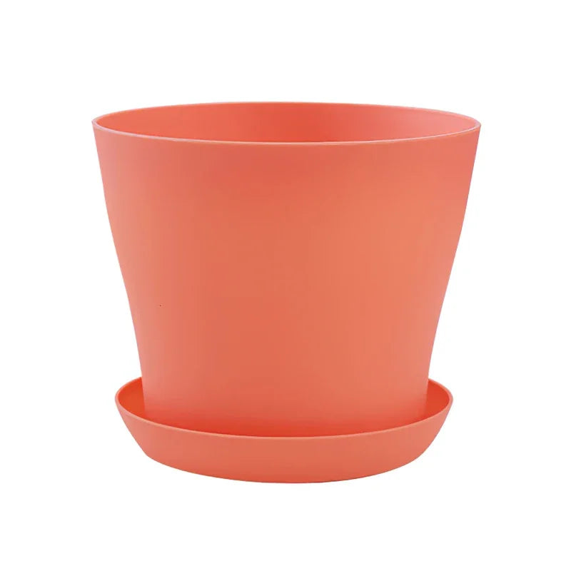 5-Size Round Plastic Planter Pots with Tray | Succulents & Bonsai