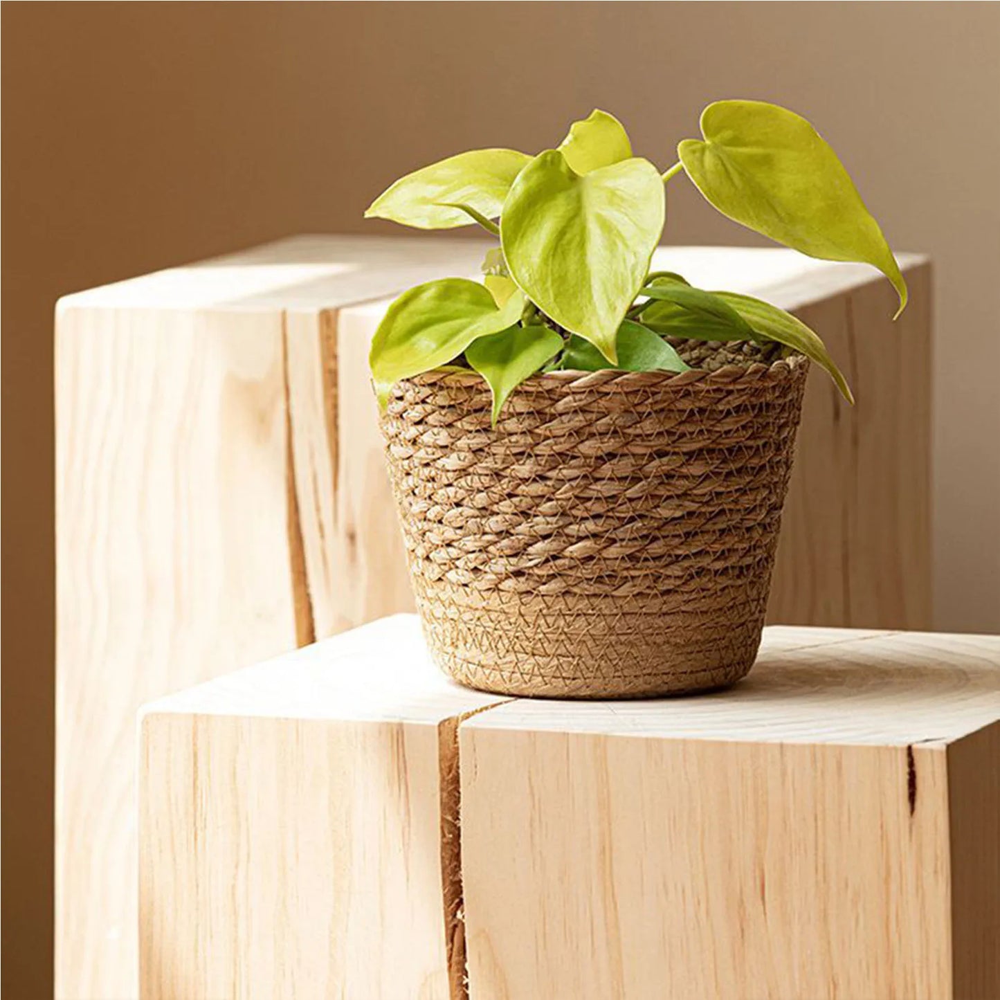 Handmade Rattan Wicker Woven Planter Basket | Flower Pot Storage