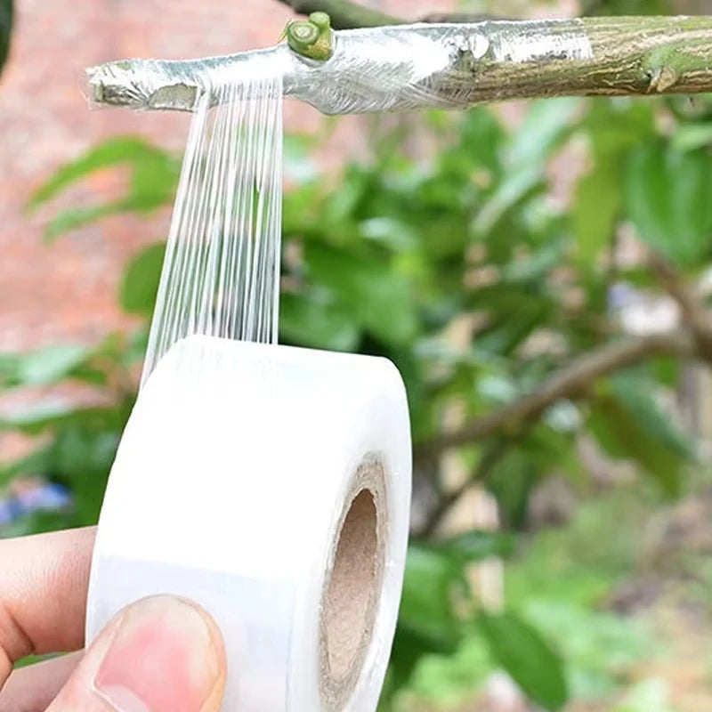 Self-adhesive wound PE grafting tape film, stretchable, horticultural tree plant seedlings, grape and tomato grafting accessorie Peaceful Pleasures Health and Wellness