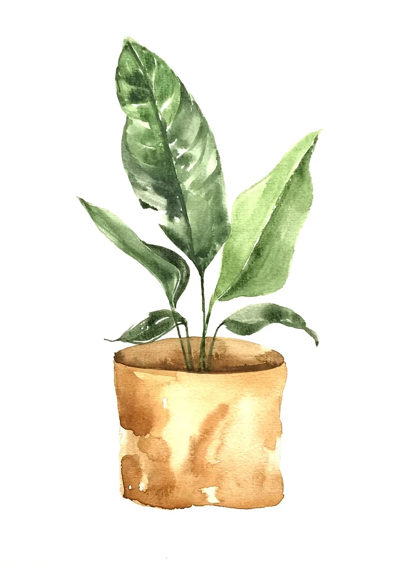 Plant Potted Watercolor Poster Family Garden Houseplant Botanical Canvas Printing Wall Art Picture for Living Room Home Decor Peaceful Pleasures Health and Wellness DM92-6 40x60cm Unframed