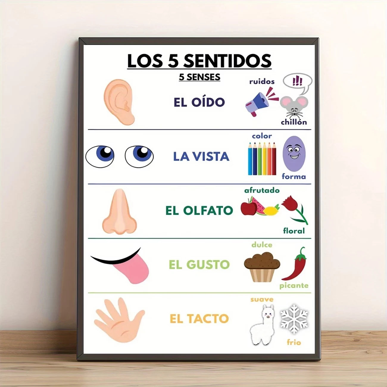 Spanish Sensory Learning Educational Canvas Wall Art Poster
