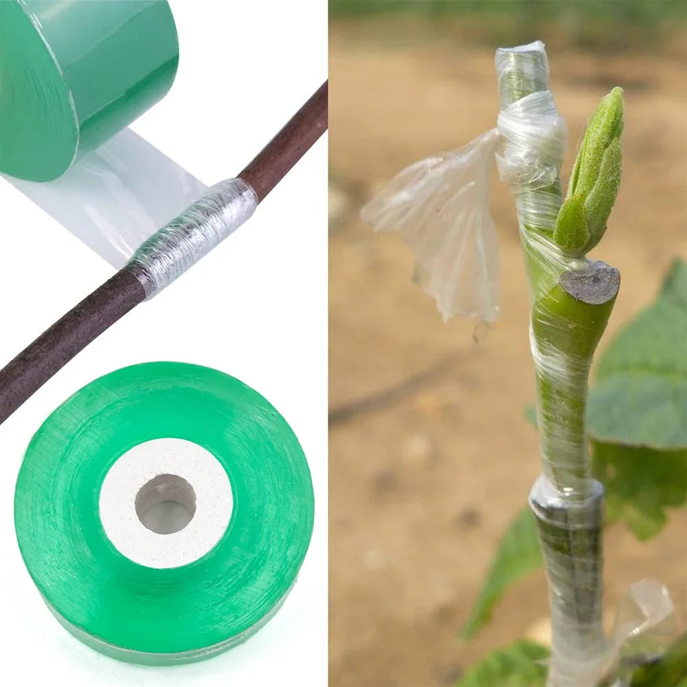 Self-adhesive PE Grafting Tape Film Stretchable Garden Tree Plants Seedlings Vine Tomato Grafting Accessories Peaceful Pleasures Health and Wellness