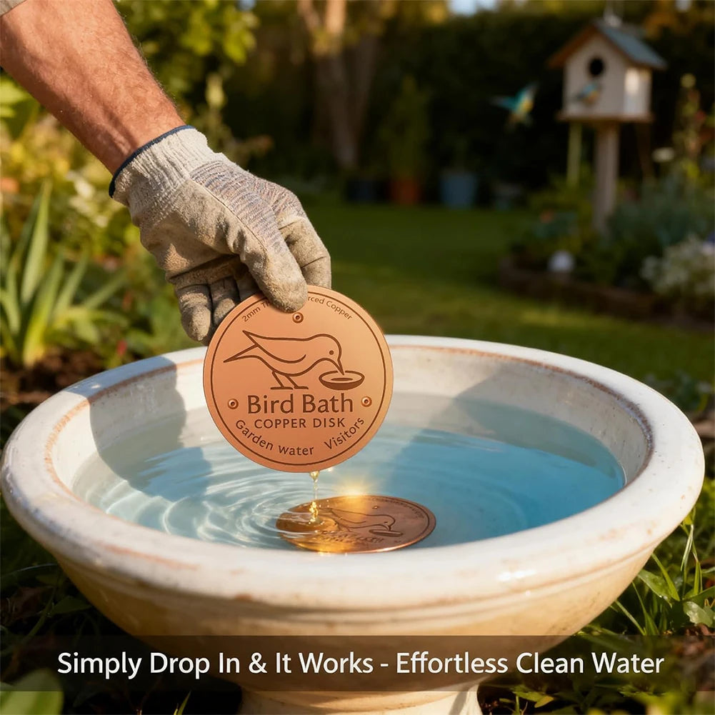 Copper Water Purifier,Solid-Copper Water Purifier For Fountains,Eco Friendly Maintenance Tool,Patios Water Feature Purifier Peaceful Pleasures Health and Wellness