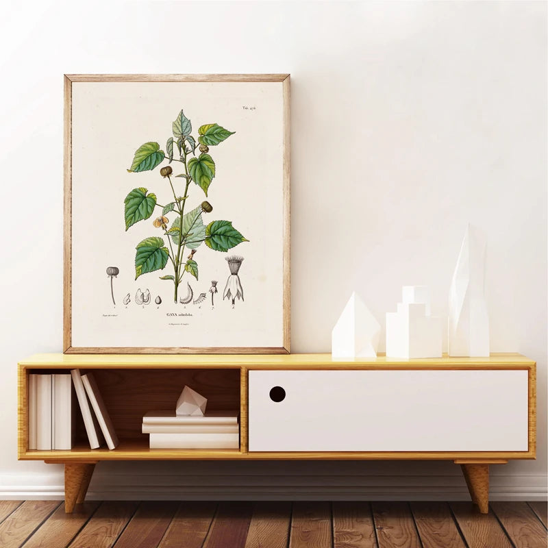 Botanical Studies Vintage Posters and Prints Antique French Plant Illustrations Canvas Painting Botany Wall Art Pictures Deco Peaceful Pleasures Health and Wellness