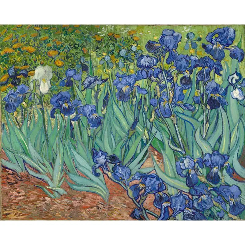 Van Gogh Sky Paint by Numbers Kit | 60x75cm Canvas Art