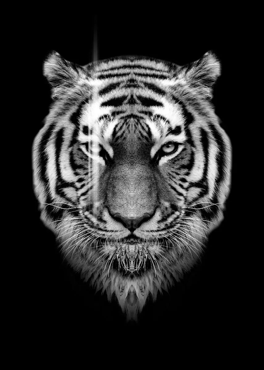 Black and White Animals Lions Family Elephant Giraffe Zebra Wall Poster Prints Canvas Painting Pictures for Kids Room Decor Peaceful Pleasures Health and Wellness