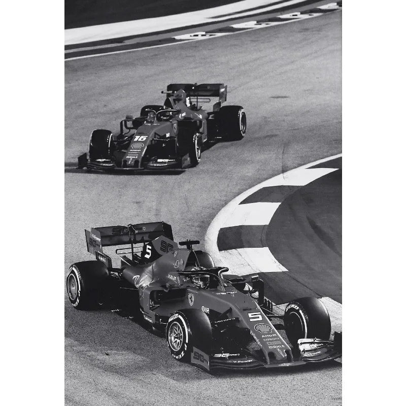 Black and White Famous Racing Sports Car Racer Photography Poster Printed Canvas Painting Wall Art Pictures Home Decor Gift Peaceful Pleasures Health and Wellness 10 20x30cm Unframed