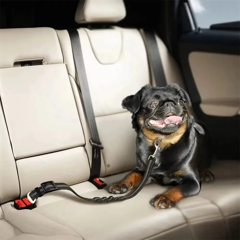 Reflective Dog Seat Belt – Adjustable Nylon Bungee Car Harness