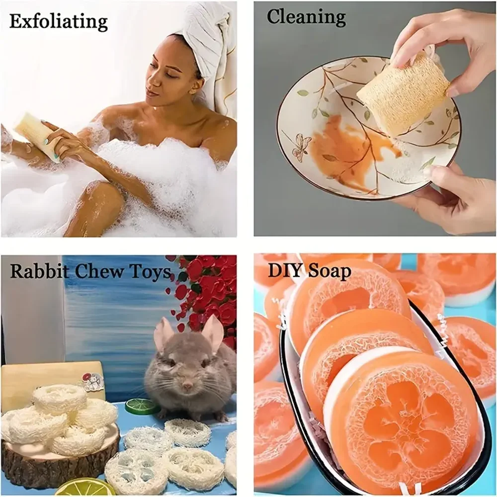 Natural Egyptian Loofah Body Scrubber – Eco Exfoliating Sponge