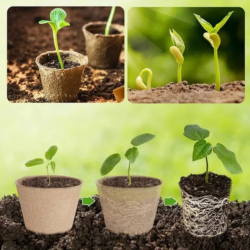 Biodegradable Peat Pots Seed Starter Cups with Drainage – 20/40pk