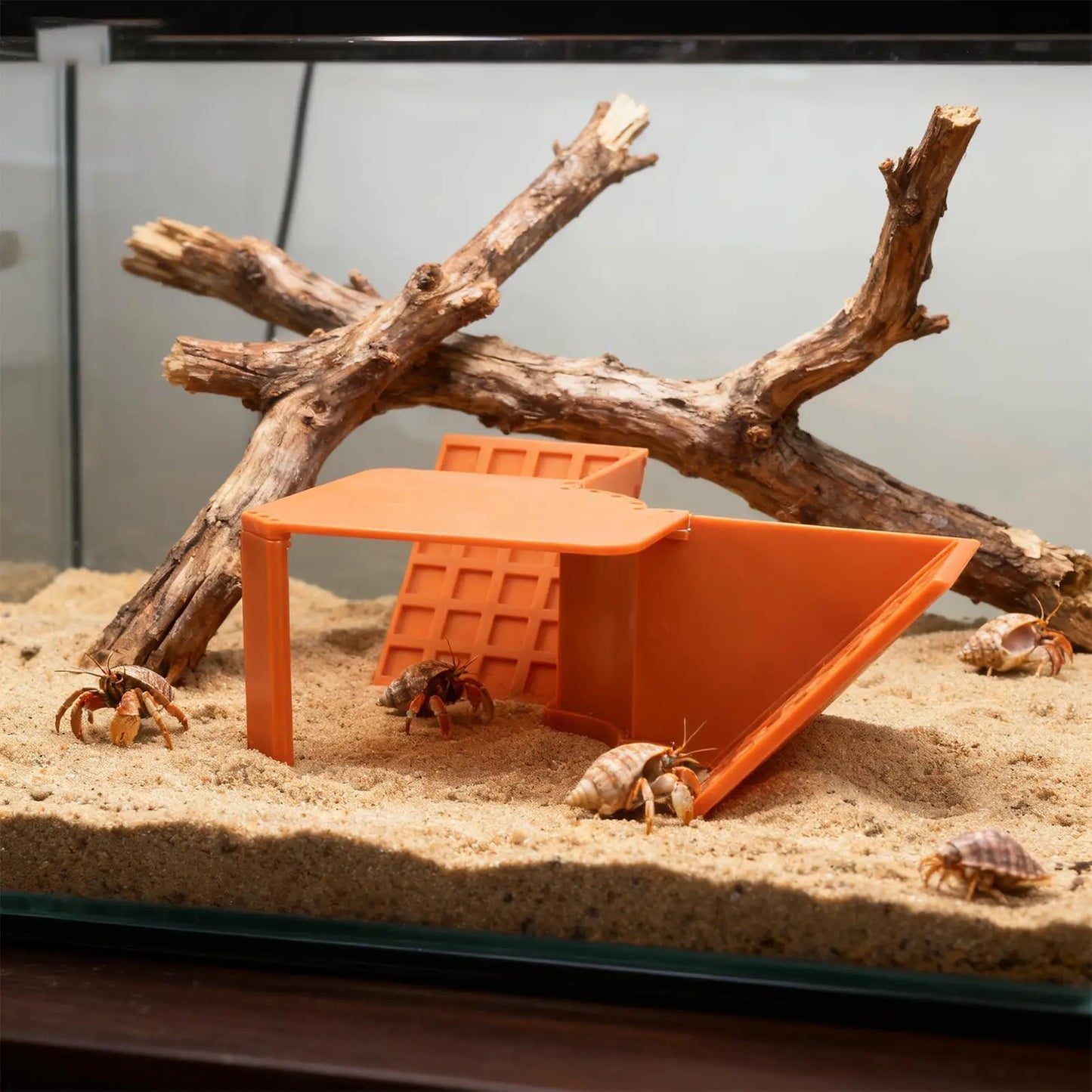 Hermit Crab Cave Habitat Reptile Hideaway Tank Decor Hermit Crab Cave Tank Decor For Relaxing Sleeping Geckos Hamsters Turtle Peaceful Pleasures Health and Wellness