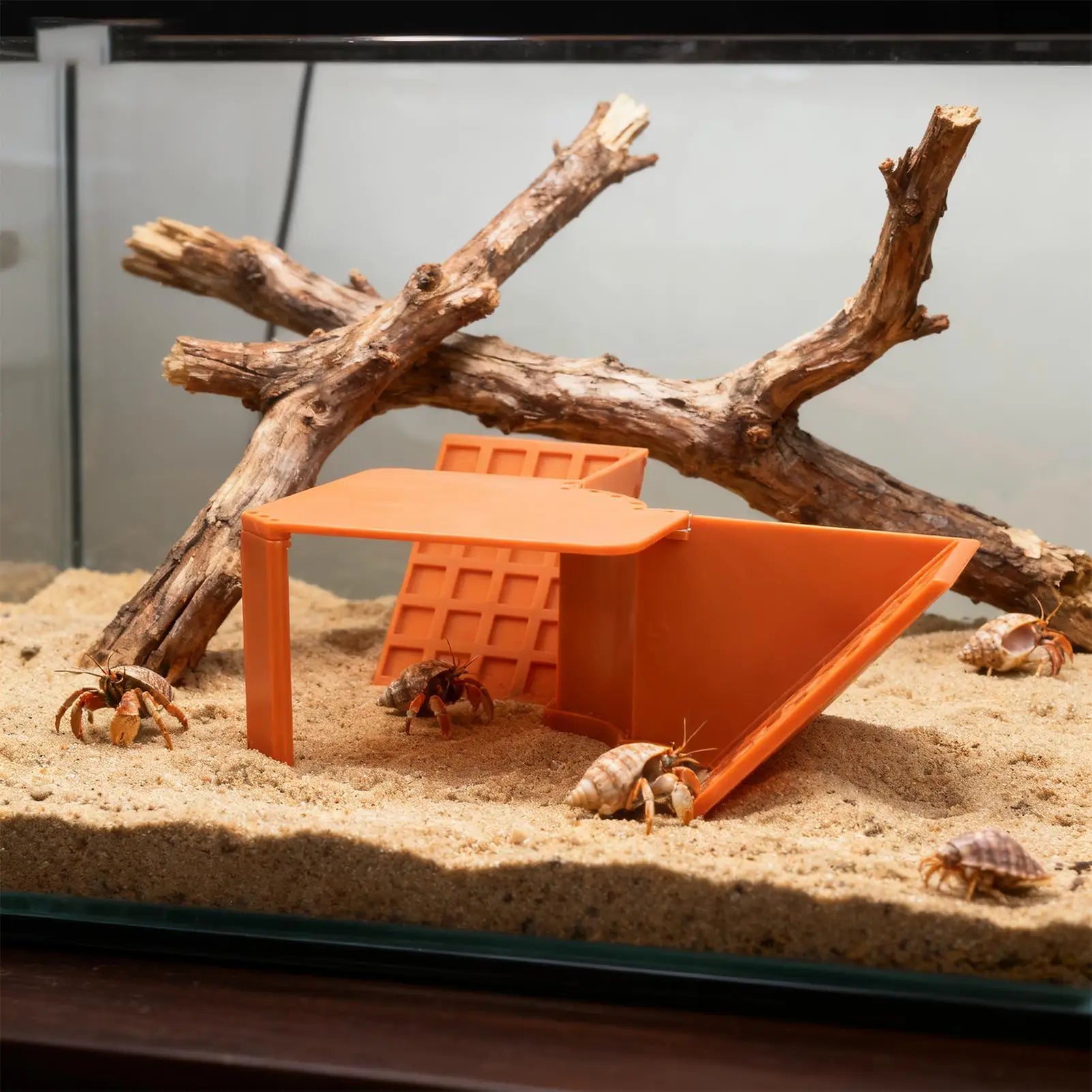 Hermit Crab Cave Habitat Reptile Hideaway Tank Decor Hermit Crab Cave Tank Decor For Relaxing Sleeping Geckos Hamsters Turtle Peaceful Pleasures Health and Wellness