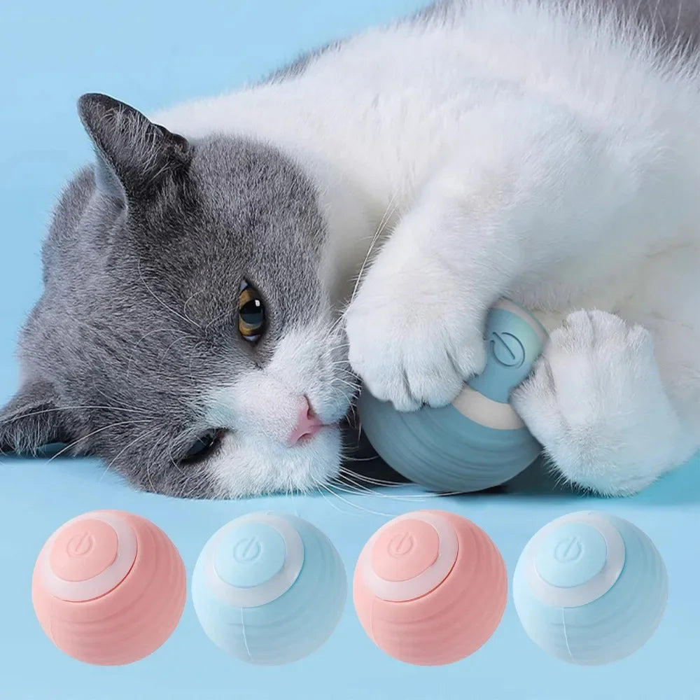 Electric Auto-Rolling Interactive Cat Toy Ball | USB-C