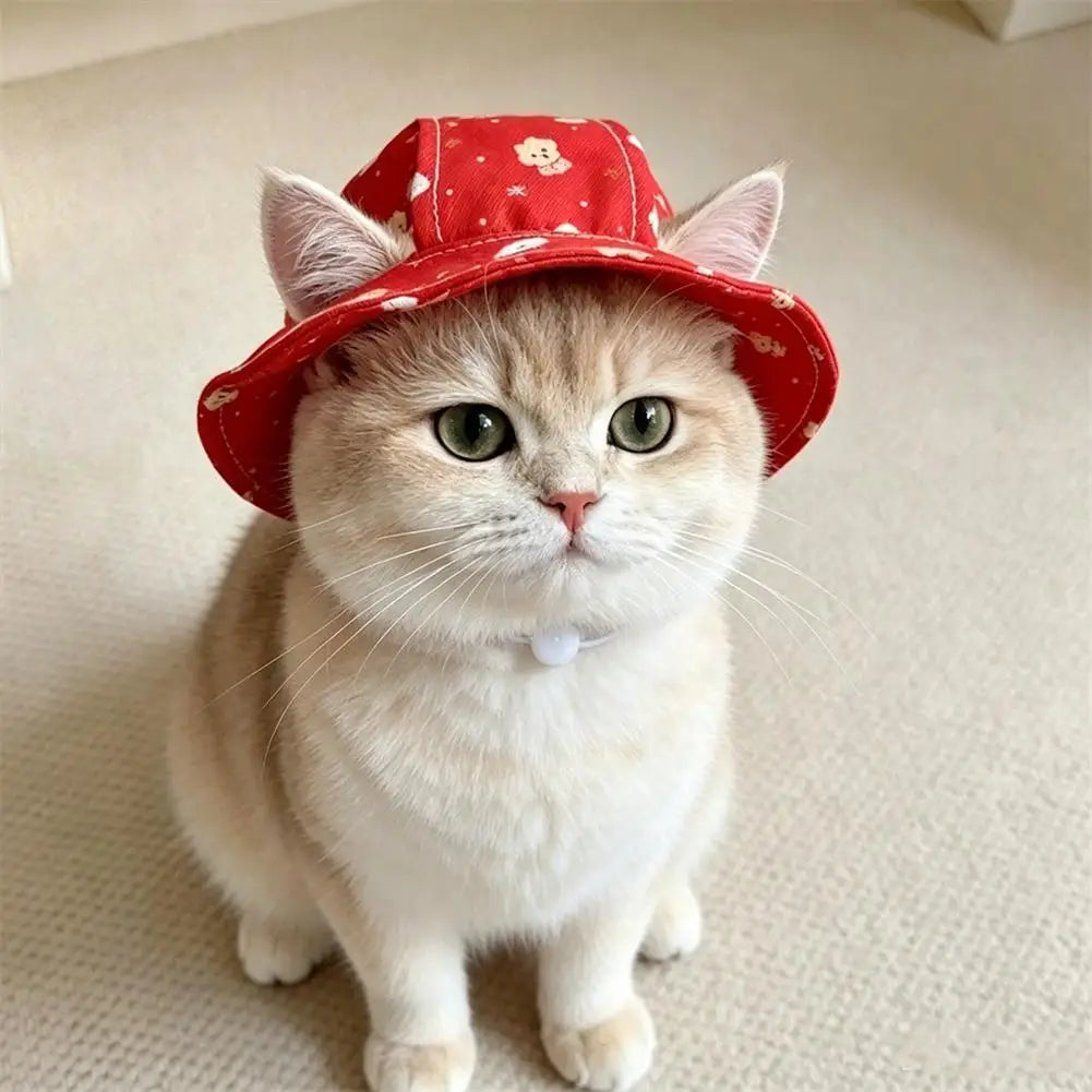 Cartoon UV Sun Hat for Small Cats & Dogs | Pet Bucket Hat