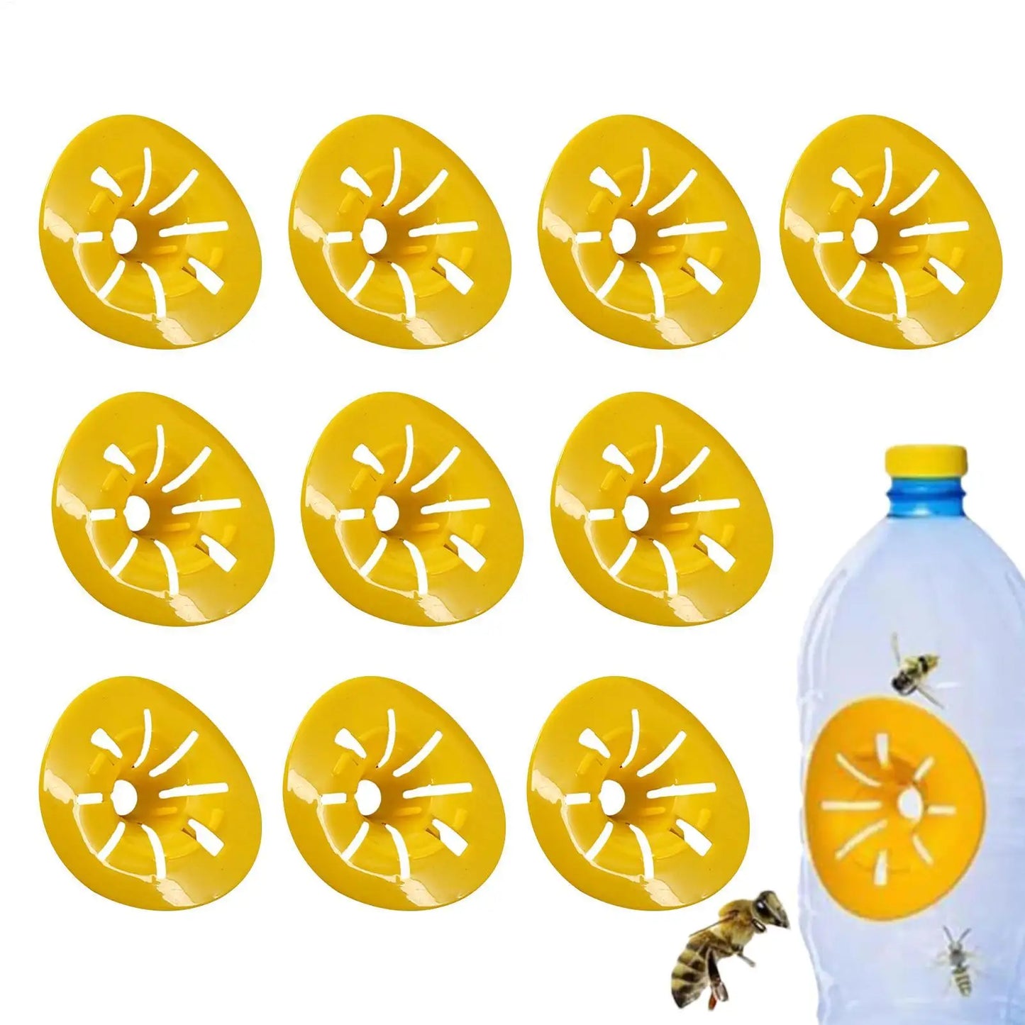 10Pcs Reusable Wasp Trap Insect Funnel Killer Flower Bee Hornet Catcher Plastic Bottle Wasp Traps Garden Pests Control Tool Peaceful Pleasures Health and Wellness