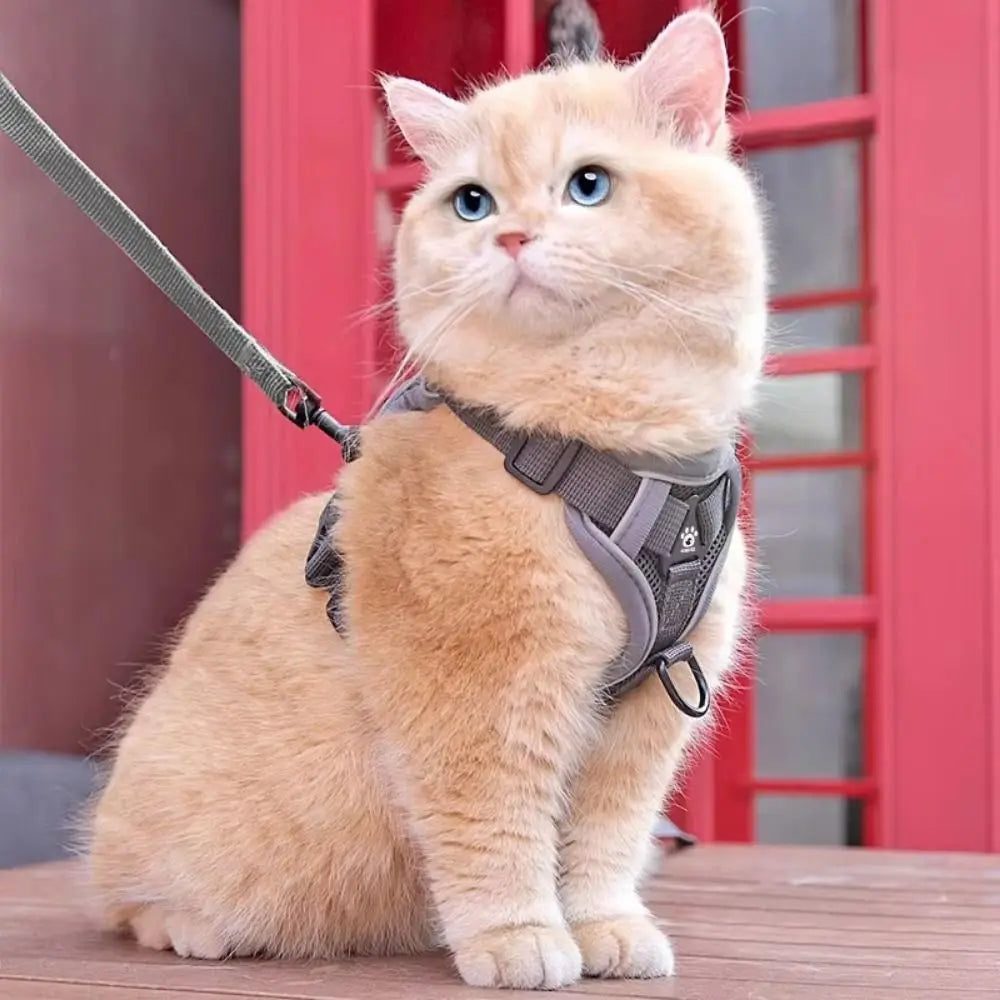 Reflective Vest Cat Harness & Leash Set – Escape Proof