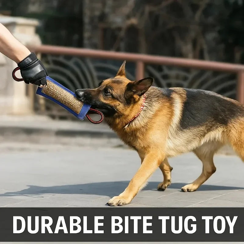 Dog Bite Jute Tug Toy with 2 Handles | Training & Play