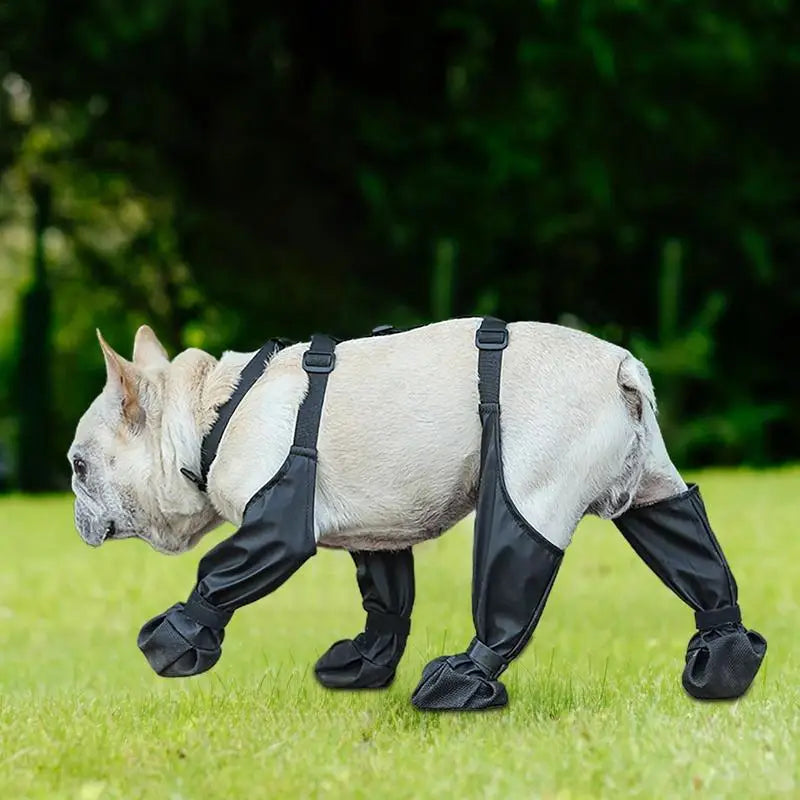 Waterproof Dog Boots | Anti-Slip Paw Protector Small & Medium Dogs