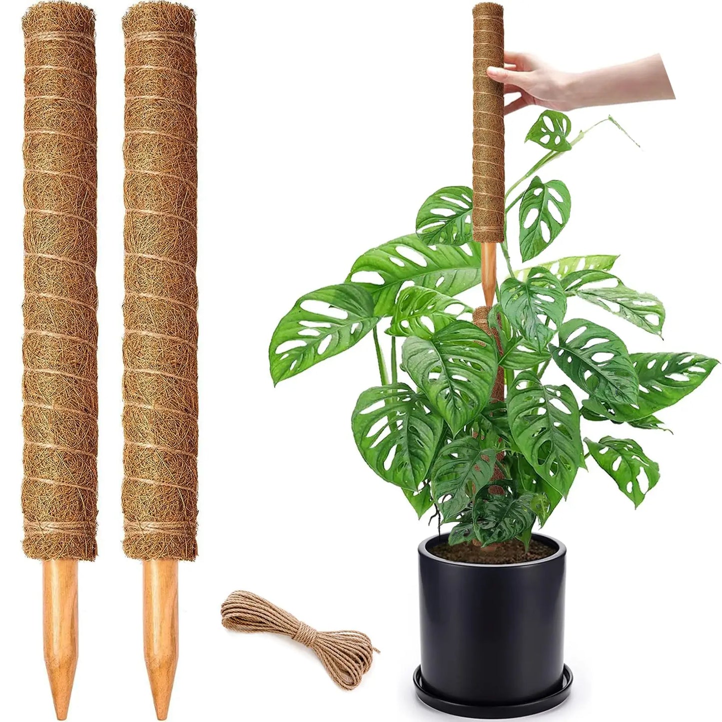 Stackable Moss Poles for Monstera & Climbing Plants | Coir