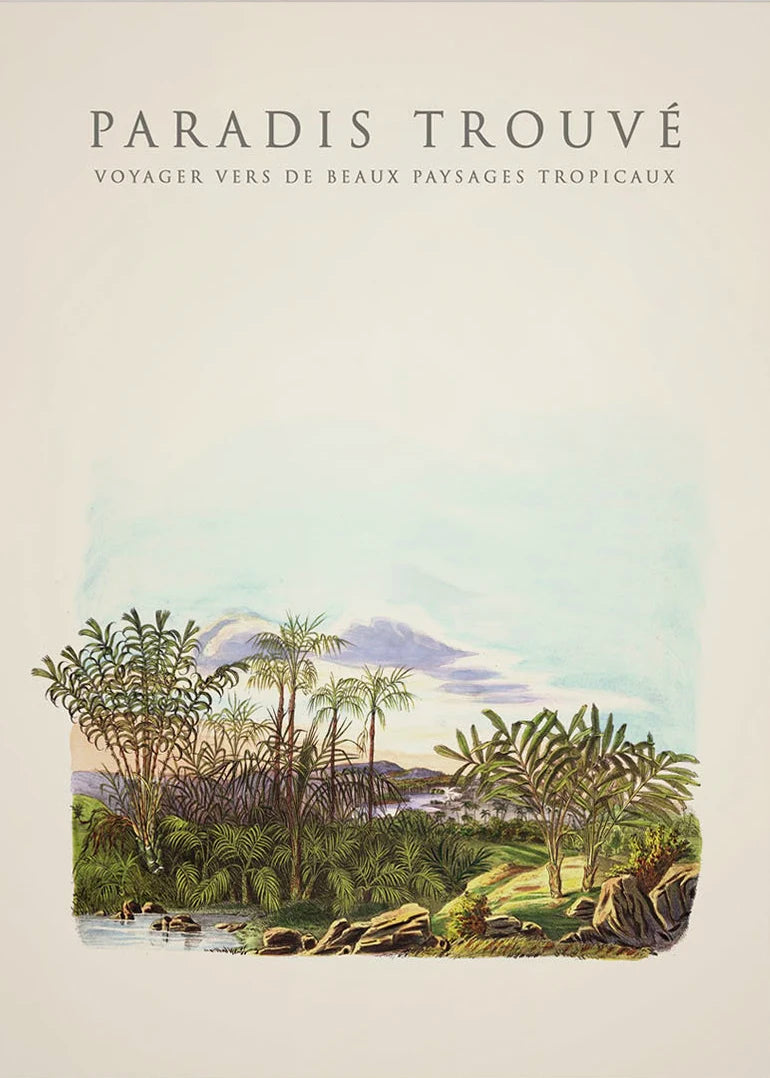 Tropical Palm & Banana Tree Vintage Botanical Canvas Wall Art Botanical Canvas Print Peaceful Pleasures Health and Wellness 14 40x50cm
