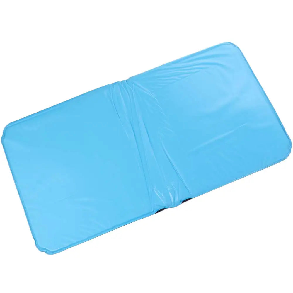 Refillable Ice Cooling Pillow Insert | PVC Cool Sleep Mat