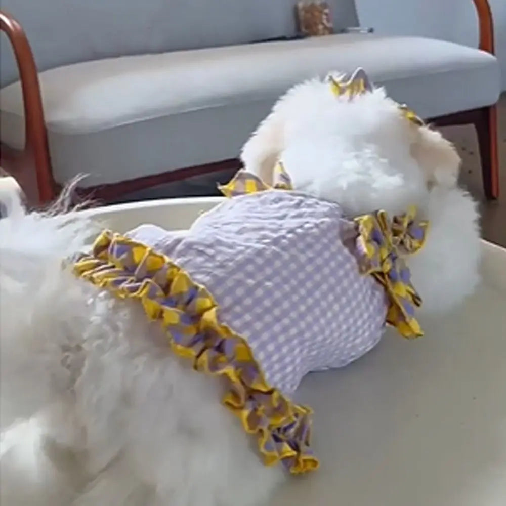 Plaid Lace Pet Dress – Soft Summer Skirt for Cats & Puppies