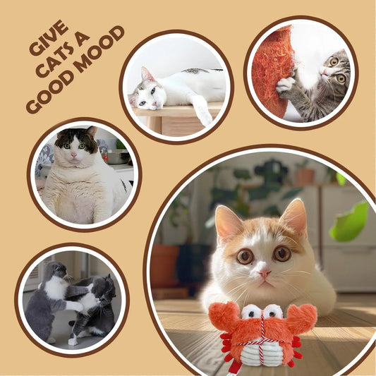 Cat Chew Toy Cute Plush Interactive Teething Crab Lobster Catnip Cat Teething Toys For Self Play Enrichment Training Exercise Peaceful Pleasures Health and Wellness