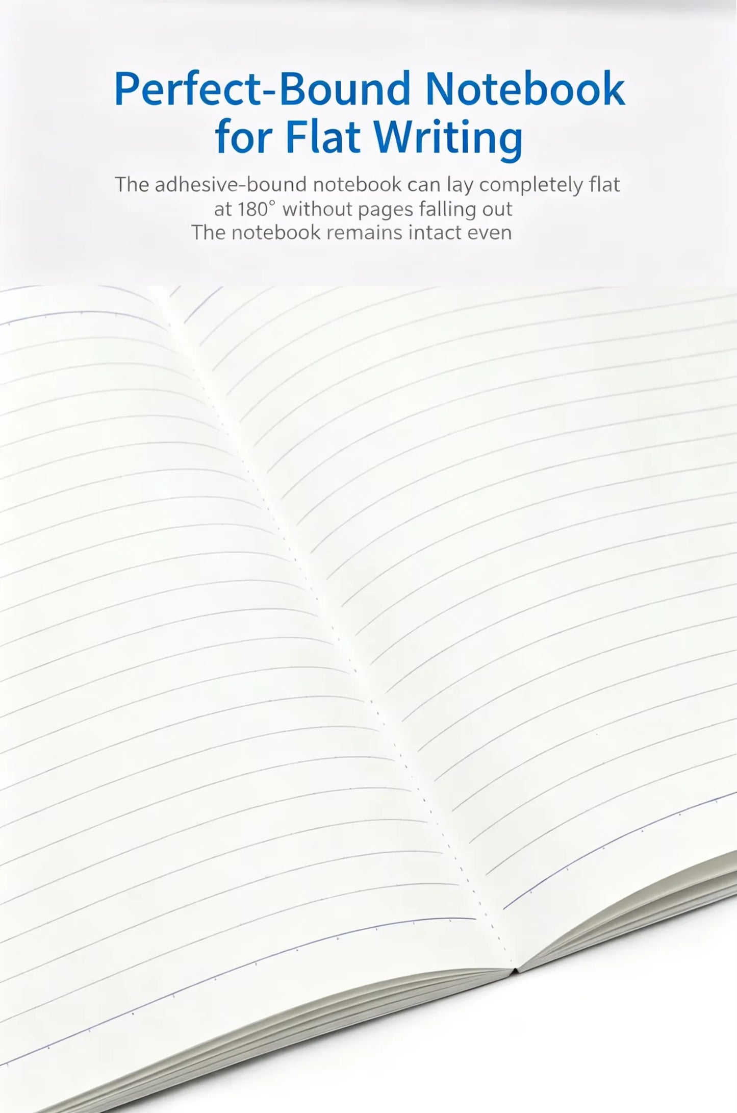 Japanese Fruit Print Campus Notebook KOKUYO Line Spacing 180 Flat