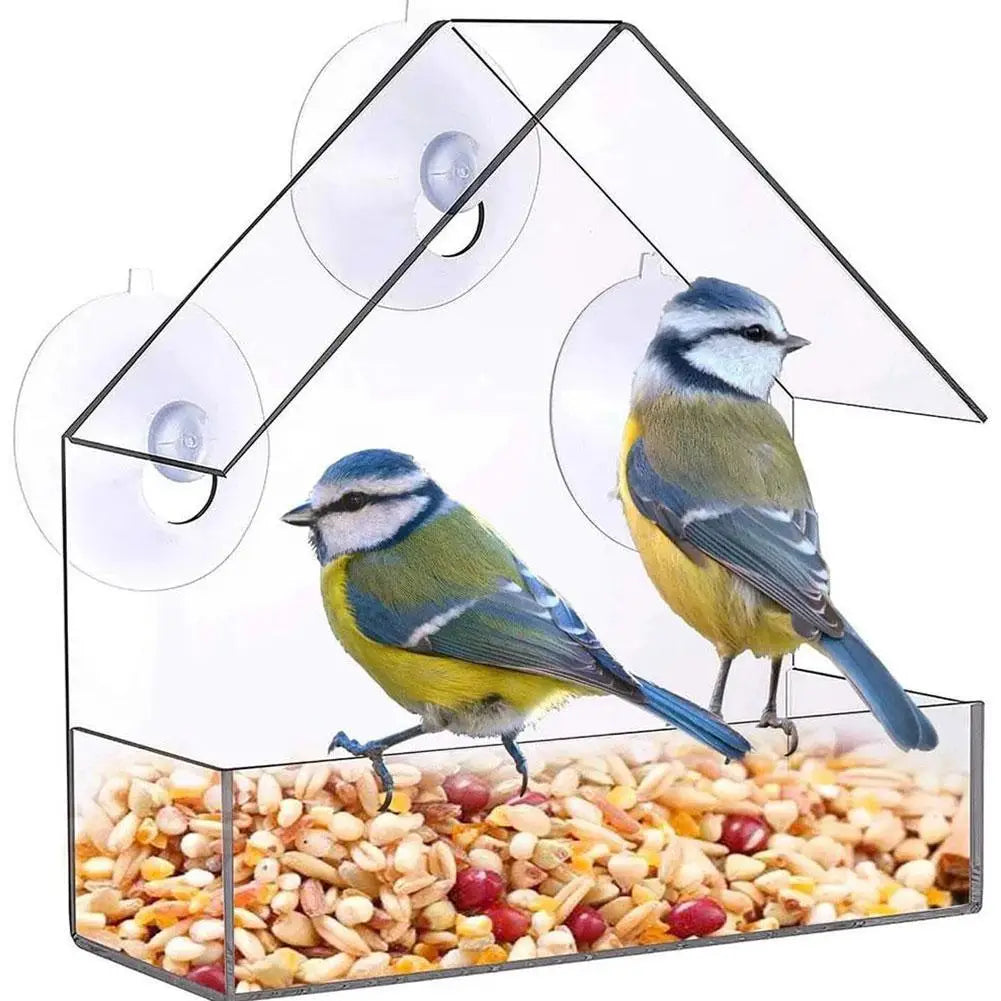 Acrylic Bird Feeder with Suction Cup for Wildlife Peaceful Pleasures Health and Wellness transparent