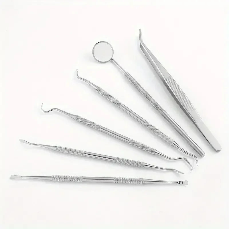 6-Piece Stainless Steel Dental Oral Care Kit | Tartar Removal Tools Dental Care Kit Peaceful Pleasures Health and Wellness