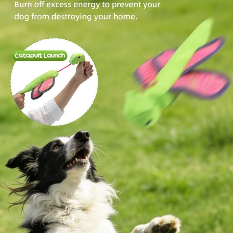 Dog Launcher Fly Insect Toy – Crinkle Fetch Ball for Puppies Interactive Dog Toy Peaceful Pleasures Health and Wellness
