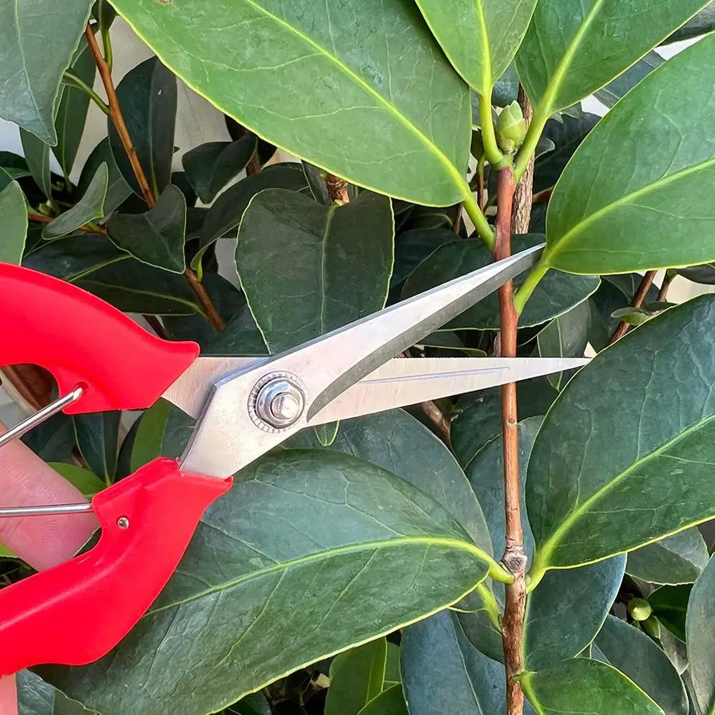 Stainless Steel Fruit Picking Pruning Shears | Garden Scissors