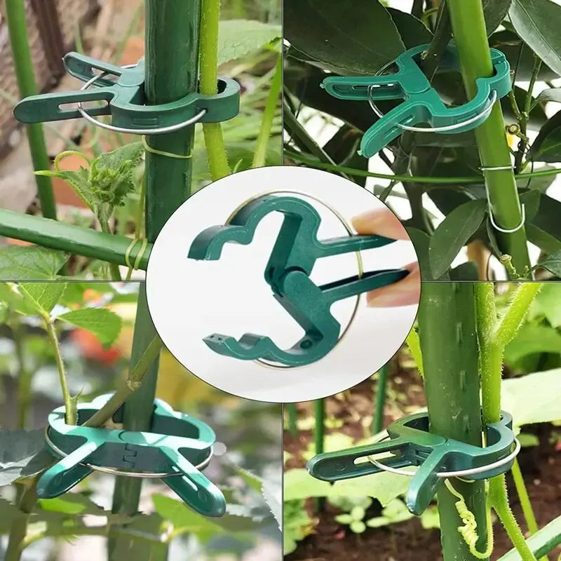Reusable Plant Support Clips – Tomato, Vine & Flower Garden Ties
