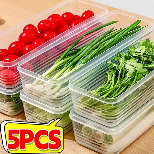 Fridge Herb & Scallion Storage Containers with Lids | 1–5 Pack Food Storage Container Oasis Select