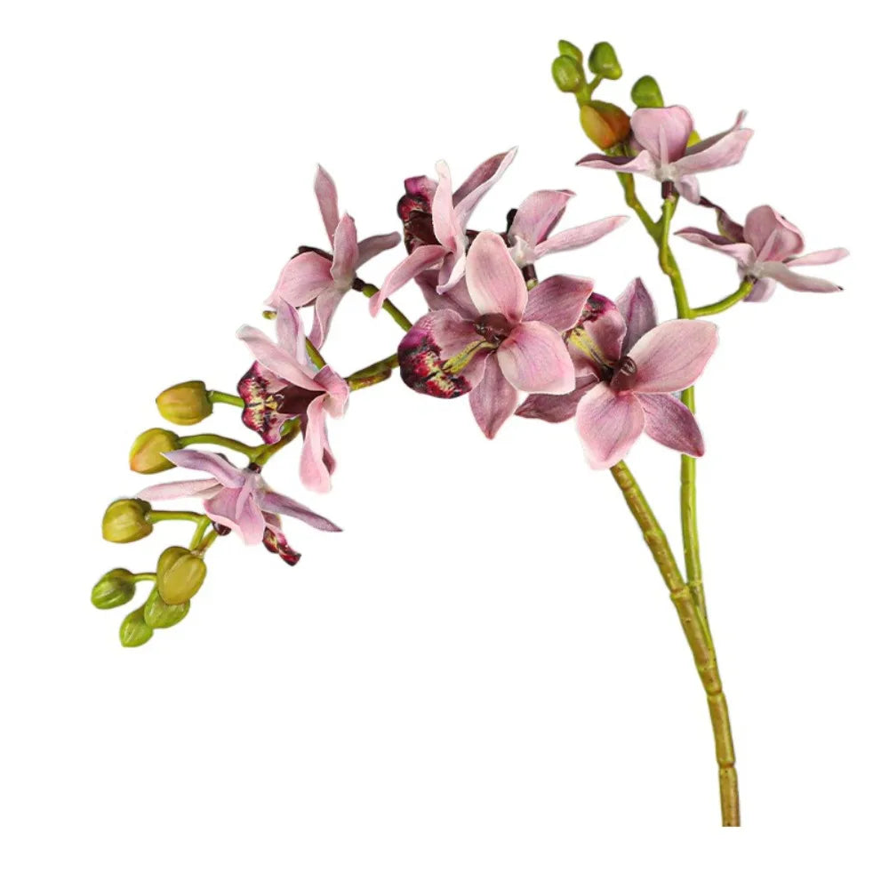 Artificial Phalaenopsis Orchid Branch | 2 Fork Real Touch 60cm