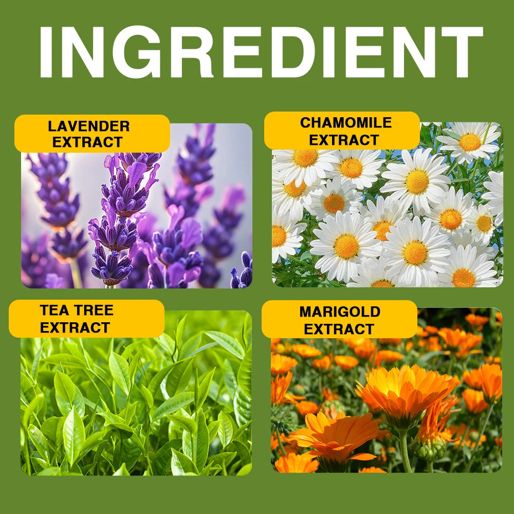 Tea Tree Essential Oil – Skin, Scalp, Nails & Aromatherapy Essential Oil Peaceful Pleasures Health and Wellness