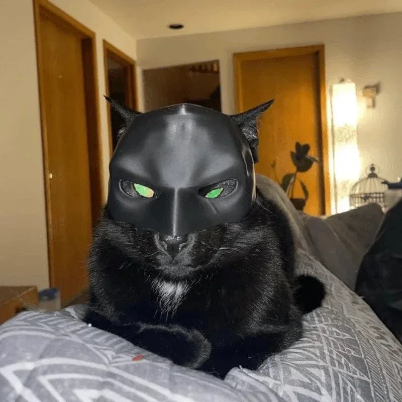 3D Printed Cat Bat Mask | Halloween Cosplay & Pet Photo Prop
