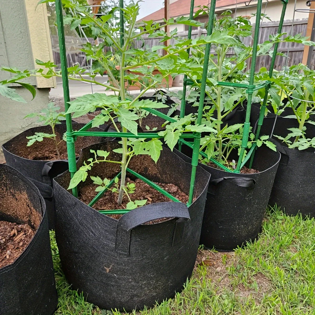 2-Pack Box-Style Tomato Planting Bags | Non-Woven Fabric Fabric Grow Bags Peaceful Pleasures Health and Wellness